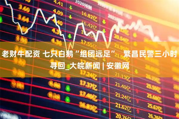 老财牛配资 七只白鹅“组团远足”   繁昌民警三小时寻回_大皖新闻 | 安徽网