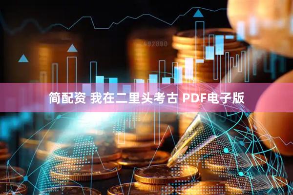 简配资 我在二里头考古 PDF电子版