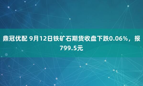 鼎冠优配 9月12日铁矿石期货收盘下跌0.06%，报799.5元